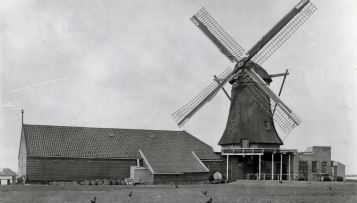 Historische foto van Molen De Zaadzaaijer (1690 - 1949)